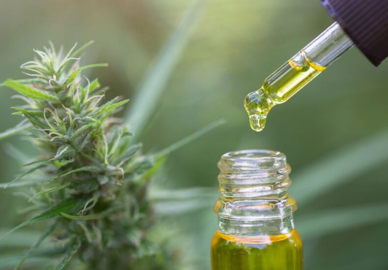 cbd oil